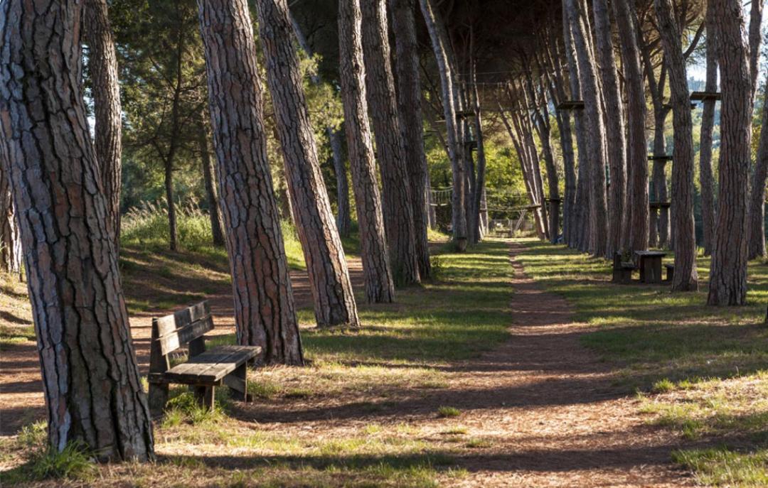 Alloggio Turistico Puccini Perugia Exterior foto